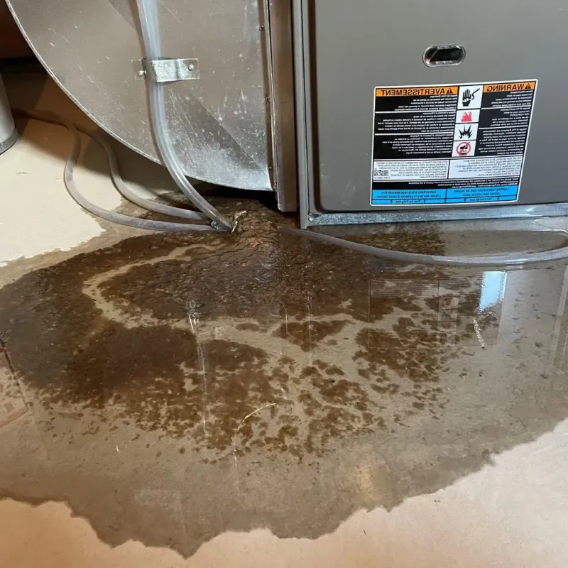 Pipe Burst and Leak Restoration in Bowling Green, KY