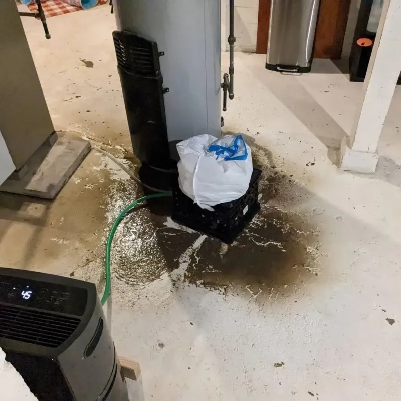 Sewage Backup Cleanup Service in Bowling Green, KY